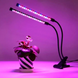 Светодиодная ультрофиолетовая фито-лампа для выращивания растений FITOLAMP 2 LED 09k04p105v1 фото 2