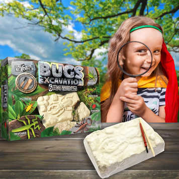 Набір молодого дослідника Bugs Excavation, розкопки жуків (IGR24) 03k12p030 фото