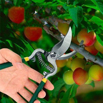 Секатор Pruner "10" садовый 250 мм для веток до 10 мм (В) 09k01p071 фото