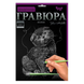 Детский набор для творчества &laquo;Гравюра&raquo;, А4 297х210 мм, Данко Тойс (IGR24) 03k12p072 фото 11