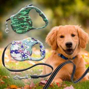 Повідець для собак Retractable Dog Leash 3 метри (509) 05k05p035 фото