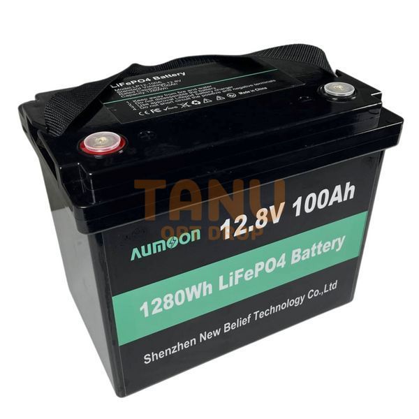 Литий-железо-фосфатный аккумулятор AUMOON LiFePO4 12,8V-100Ah 1,28 КВт BMS для ИБП (OX) 11k12p269v3 фото