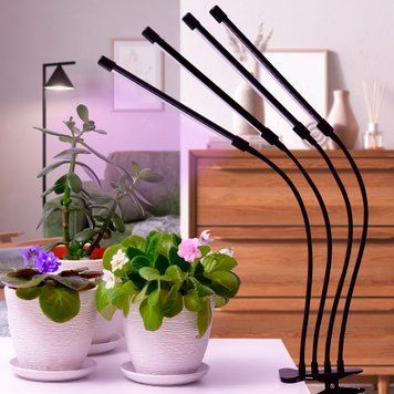 Светодиодная ультрофиолетовая фито-лампа для выращивания растений FITOLAMP 4 LED (626) 09k04p105 фото