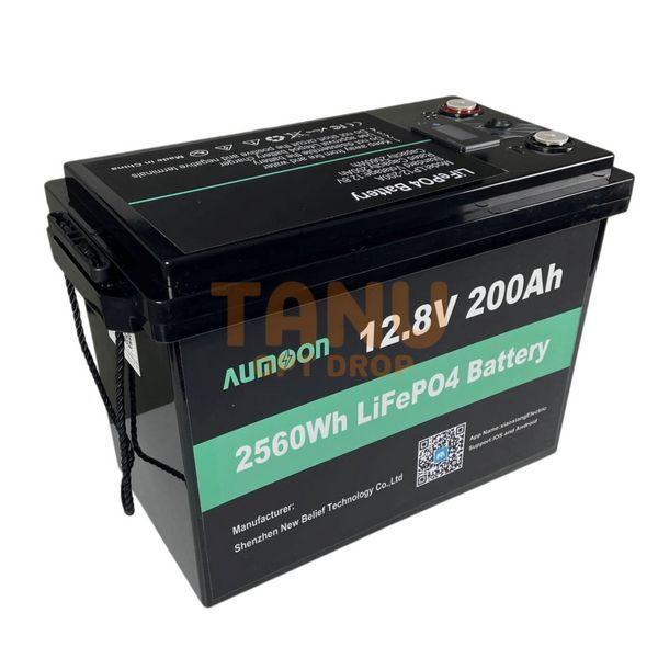 Литий-железо-фосфатный аккумулятор AUMOON LiFePO4 12,8V-200Ah (2,56 КВт) BMS, Bluetoouth для ИБП (OX) 11k12p269v5 фото