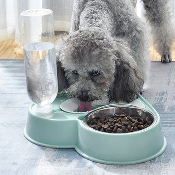 Миска 2 в 1 для животных кормушка с автоматической поилкой Dog Cat Bowl (509) 05k05p034 фото