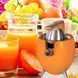 Соковижималка CITRUS PRESS LY-473/205 10k01p297 фото 1