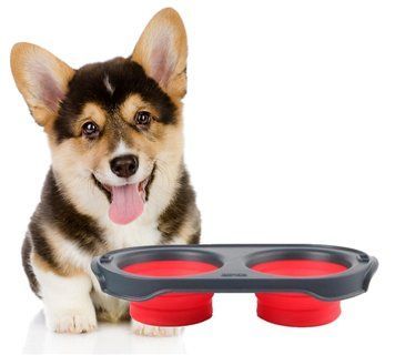 Двойная мисочка для корма DEXAS Collapsible Pet Feeder красная 05k05p026v2 фото