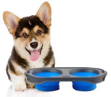 Двойная мисочка для корма DEXAS Collapsible Pet Feeder синяя 05k05p026 фото