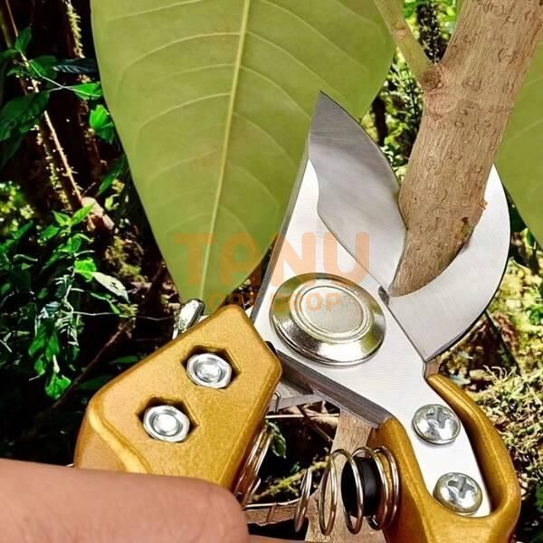 Садовые ножницы секатор для обрезки деревьев, растений Professional Grafting Tool 1701 (JS) 09k01p247 фото