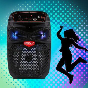 Функціональна портативна колонка DG-1055 200 Вт з FM-радіо, Чорна 11k03p149 фото