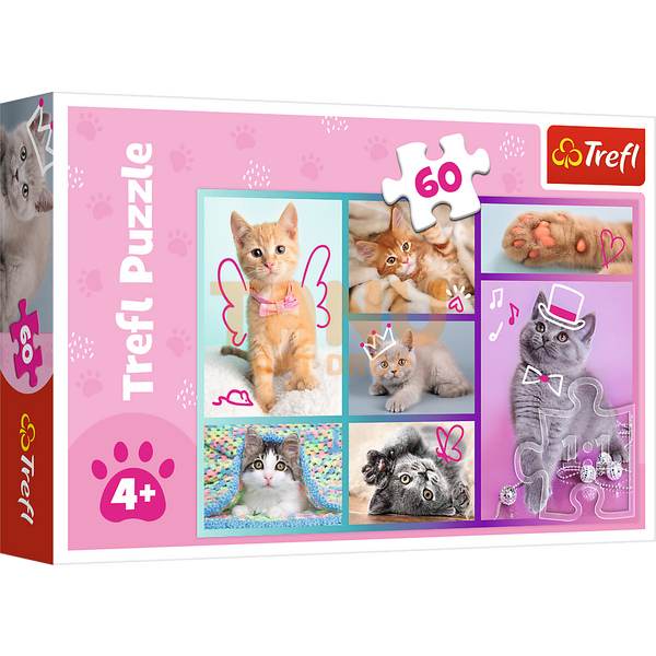 Набір пазли Trefl "Мили котики" 60 елементів (17373) (SB) 03k19p458 фото