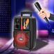 Портативная Bluetooth колонка с подсветкой и караоке HOCO BS 37 danser BT 5.0 15W (АТ) 11k03p230 фото 1
